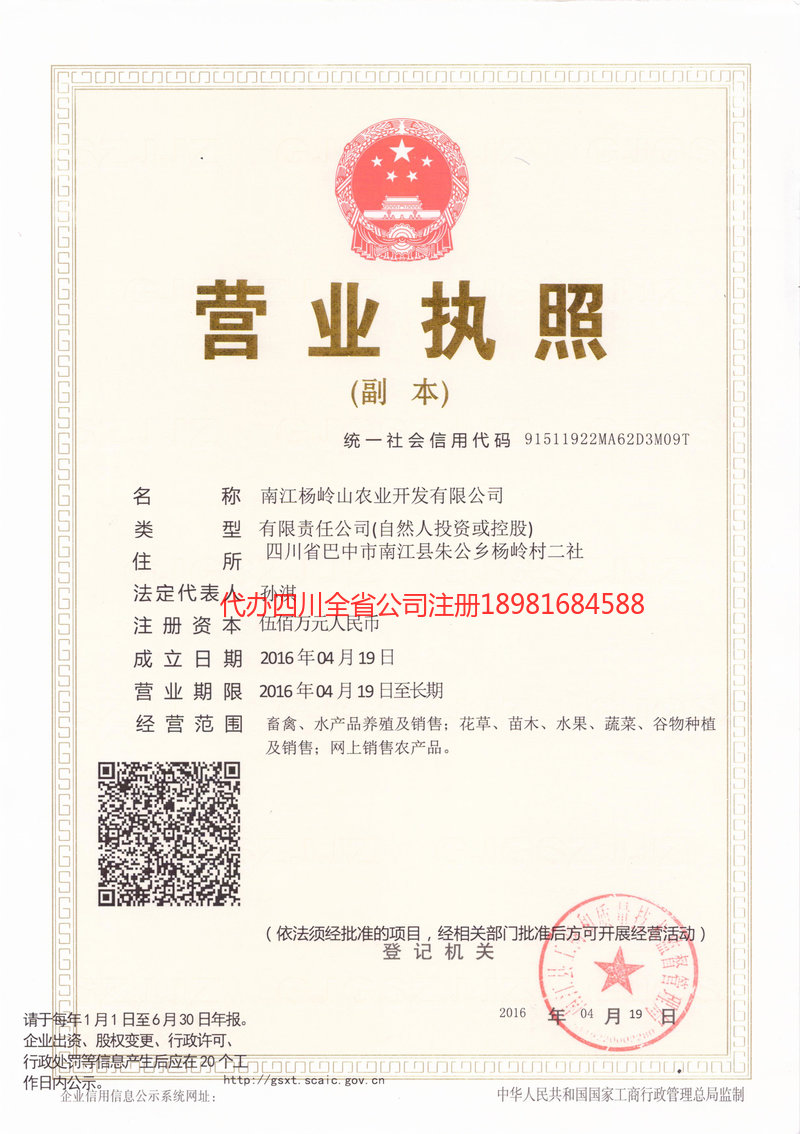 丹东丹东杨岭山农业开发有限公司